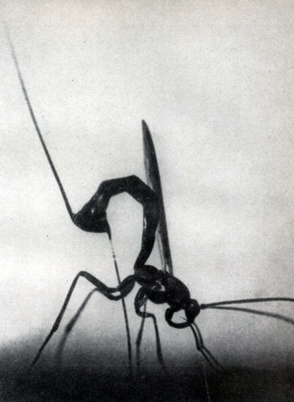 ������ ������ �������������: �������� �������, ������ � ������ ������ ������� �������, ��������� �� (� ������!) ����� ������������ ������