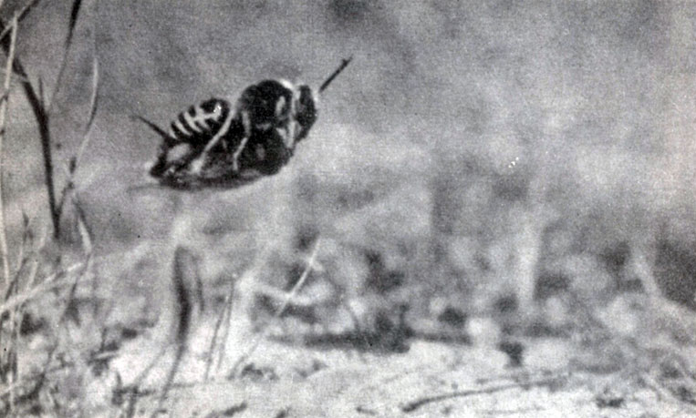 �������� ���� ������������ � �������: ����� � ����� �������������� �����