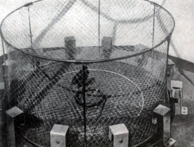 ������ ������� � ����������� ����������� ���������� ������ ���