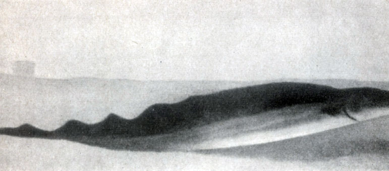 ���� � ������� - ���������! �������� �������� �� ������������ ��������� �� �������� ��������: ������� �� ���� ����� ����������� ��� �������� ���� ��������� ����� � �������, � ������� ������